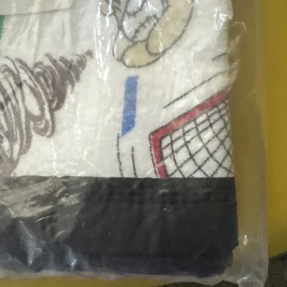 Warner Brothers Looney Tunes TAZ Sports Blanket 45